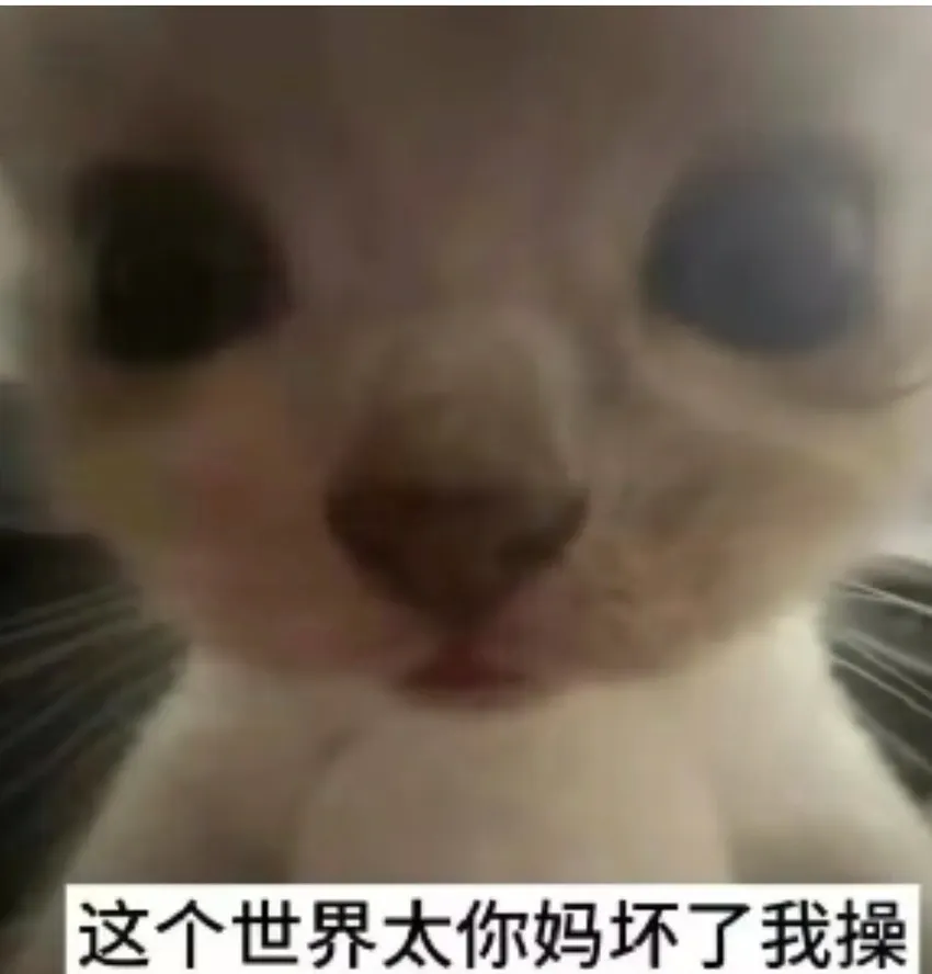 陈天毅龙（定制滴滴，@nb33334444bot  ）